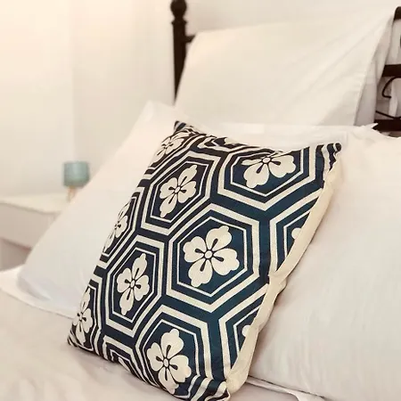 κατικία Drios